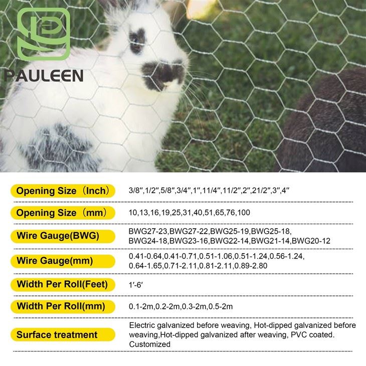 Animal Cage Wire Mesh Hexagonal suppliers Animal Cage Wire Mesh Hexagonal suppliers