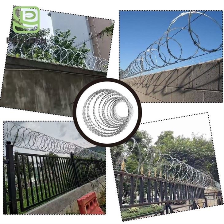Galvanized Concertina Wire best Galvanized Concertina Wire best