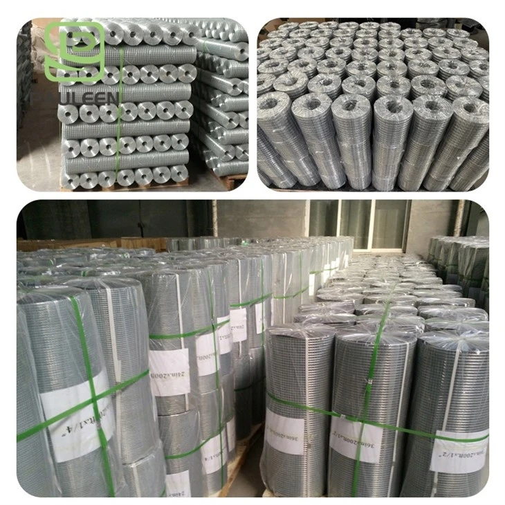 Galvanized Welded Wire Mesh