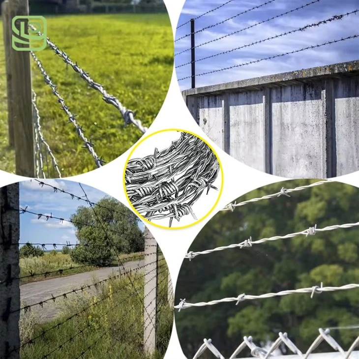 Barbed Wire Coil Fencing Barbed Wire Coil Fencing